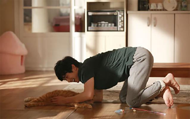 《想象猫》剧照第1张图片 《想象猫》剧照第1张图片