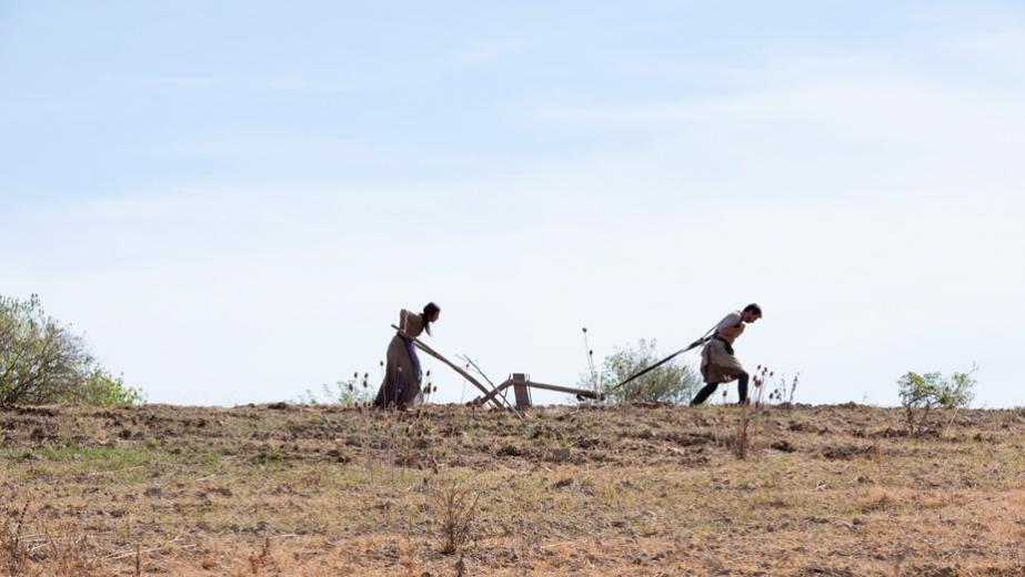 《无尽世界》剧照第1张图片 《无尽世界》剧照第1张图片